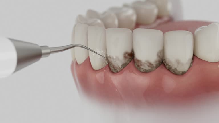 Reliable Dental contractor in Governors Village, NC by Dentist Open Now